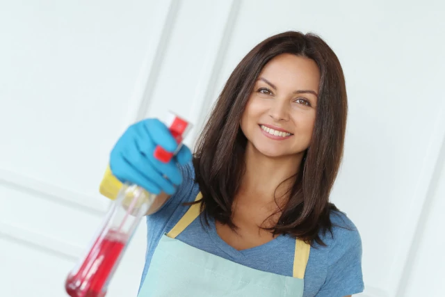 Local Domestic Cleaners