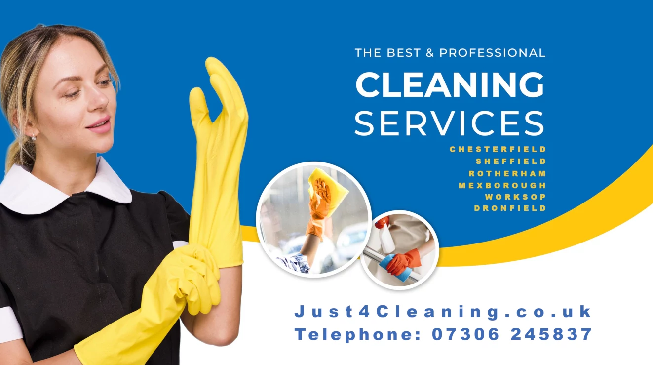 Professional Domestic cleaning services. Picture of woman